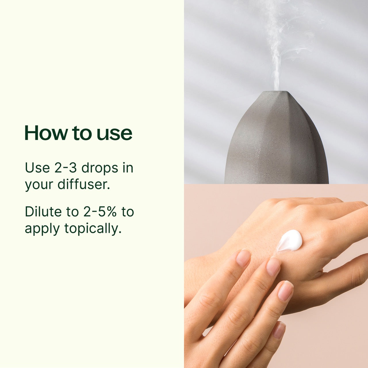 Balsam Fir Essential Oil Plant Therapy
