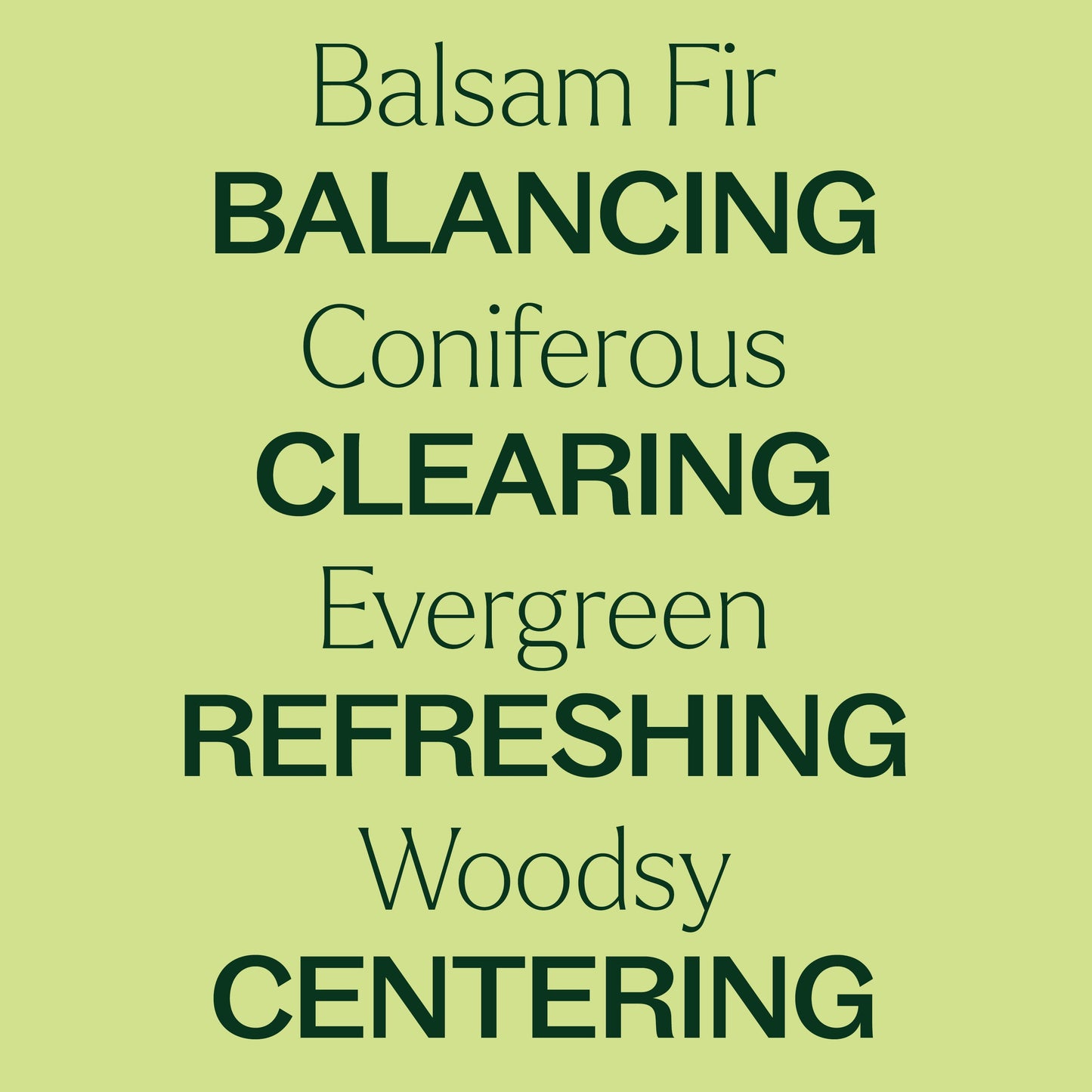 Balsam Fir Essential Oil Plant Therapy