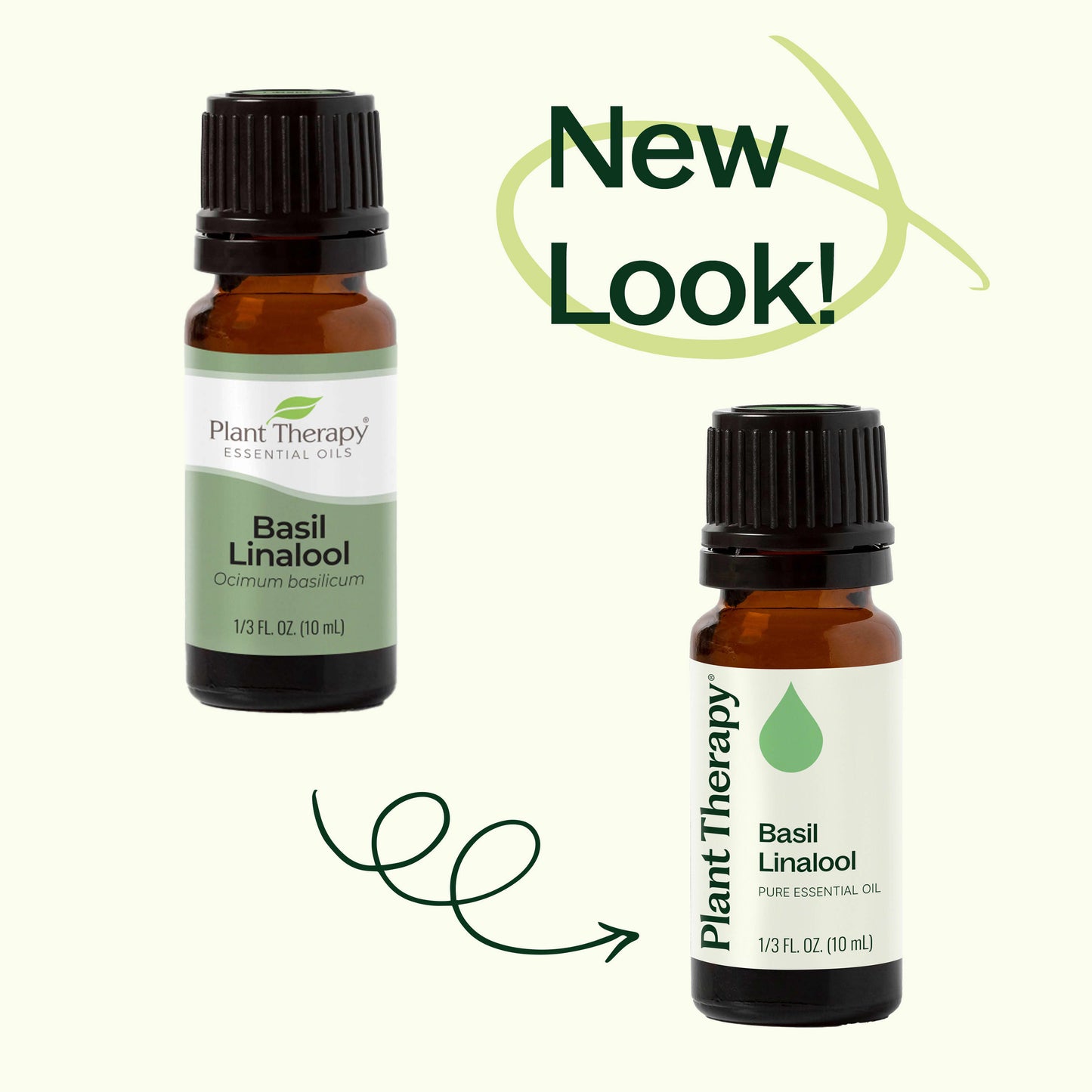 Basil Linalool Essential Oil Plant Therapy