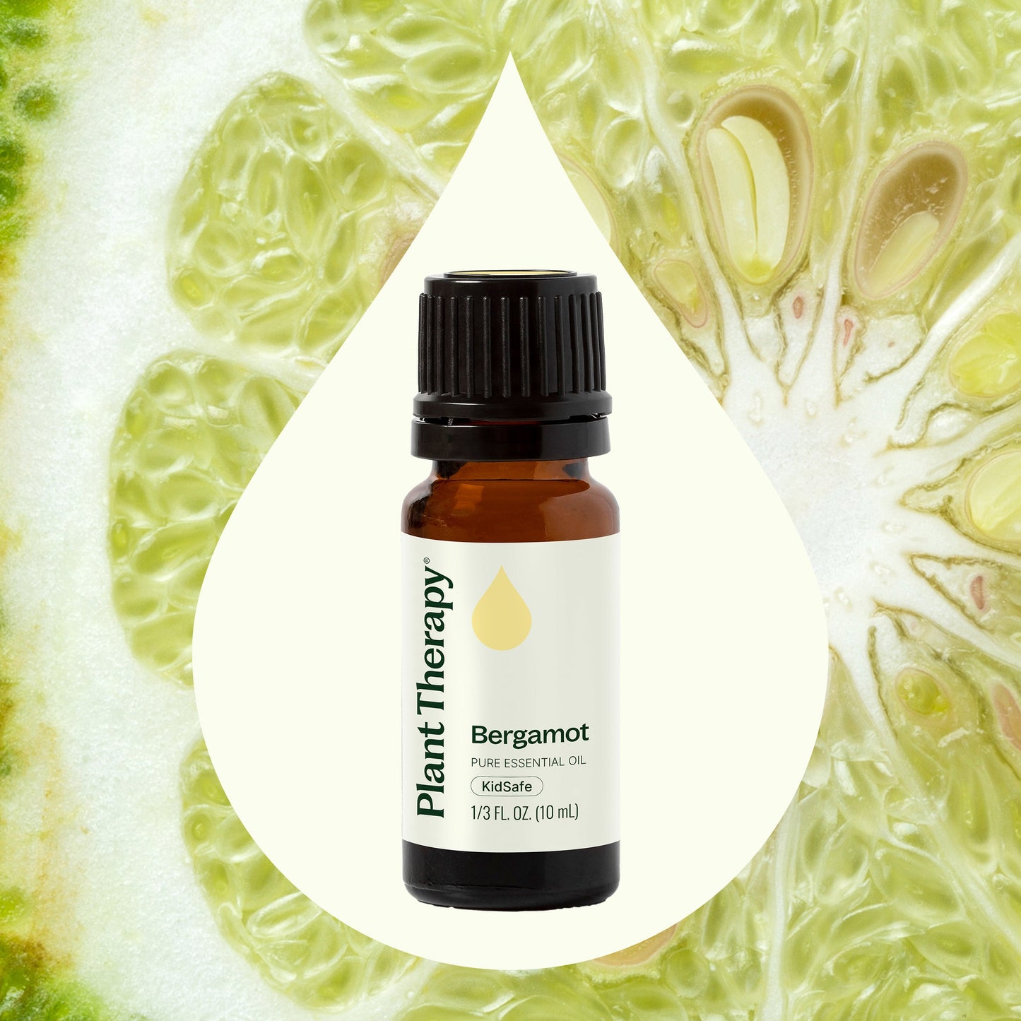 Bergamot Essential Oil Plant Therapy