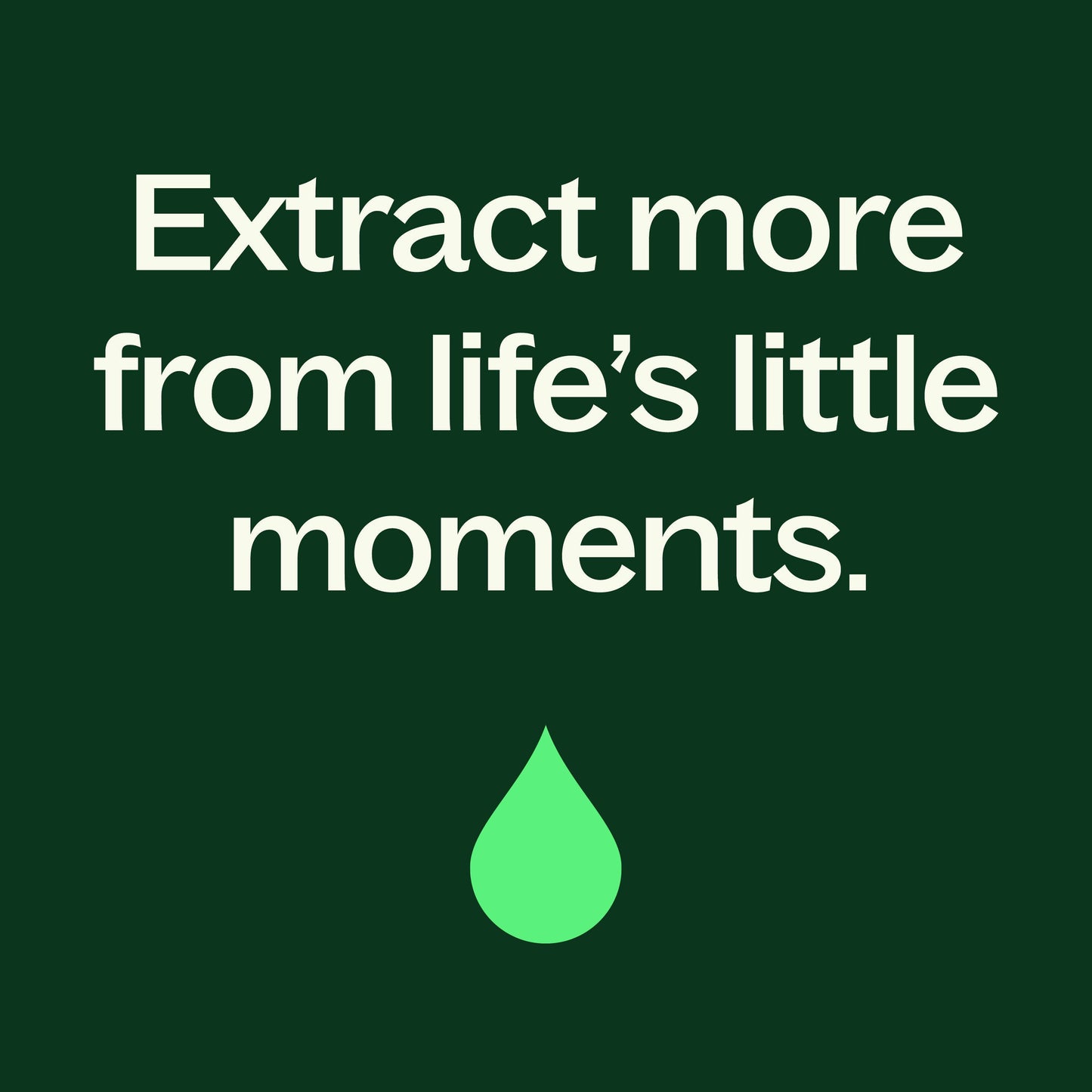 Black Pepper Essential Oil Plant Therapy
