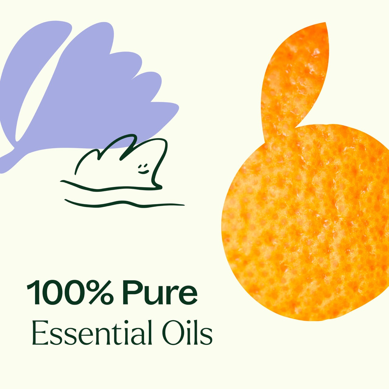 Calming the Child KidSafe Essential Oil Plant Therapy
