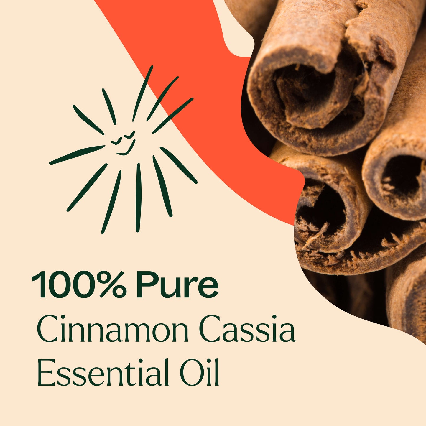 Cinnamon Cassia Essential Oil Plant Therapy