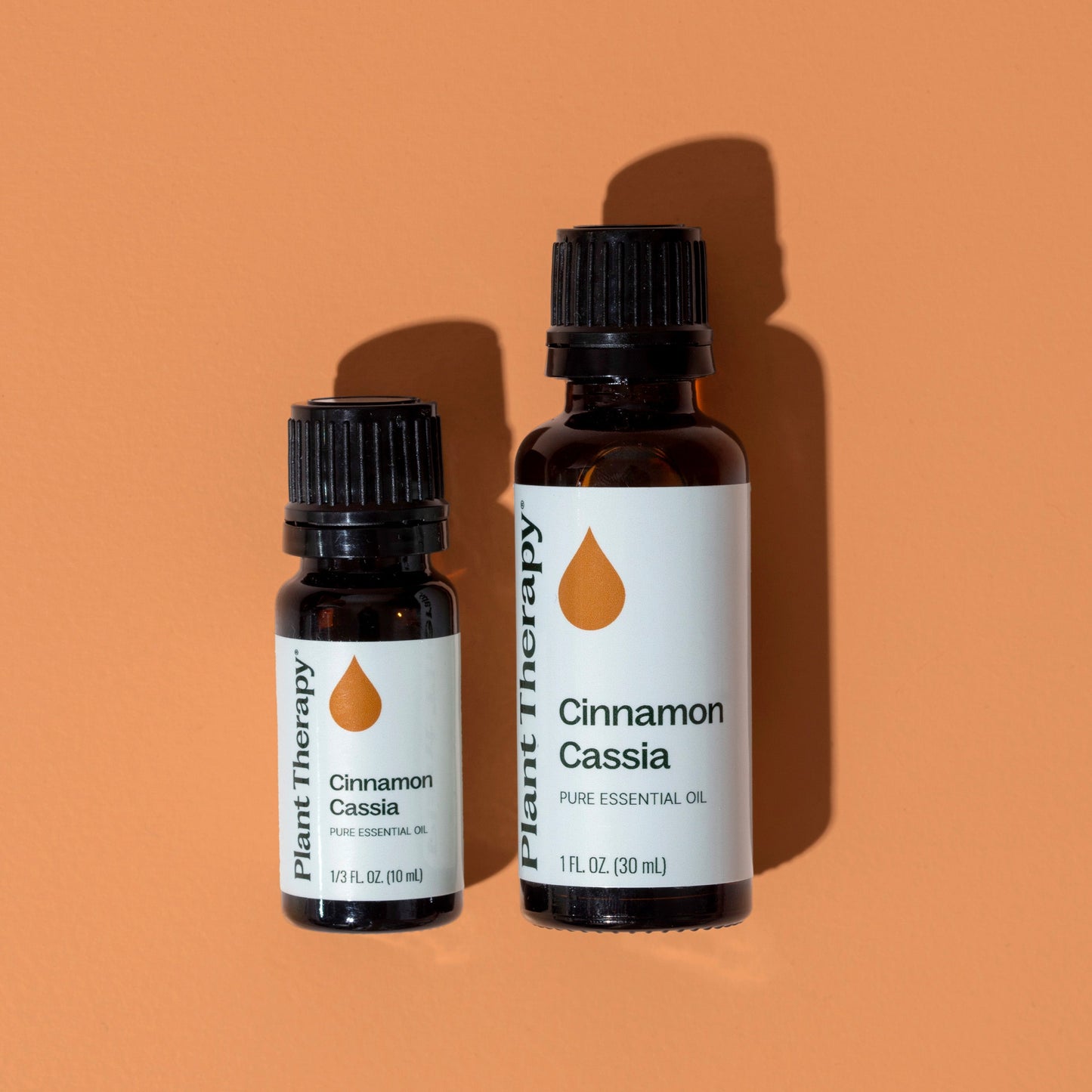 Cinnamon Cassia Essential Oil Plant Therapy