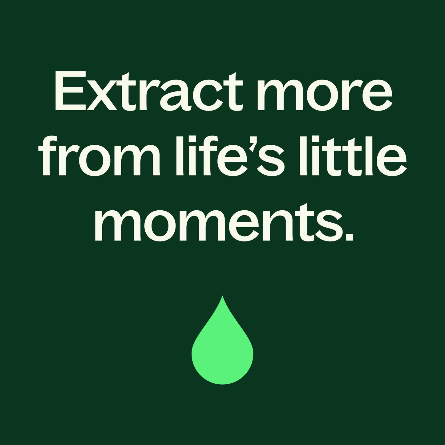 Citronella Essential Oil Plant Therapy