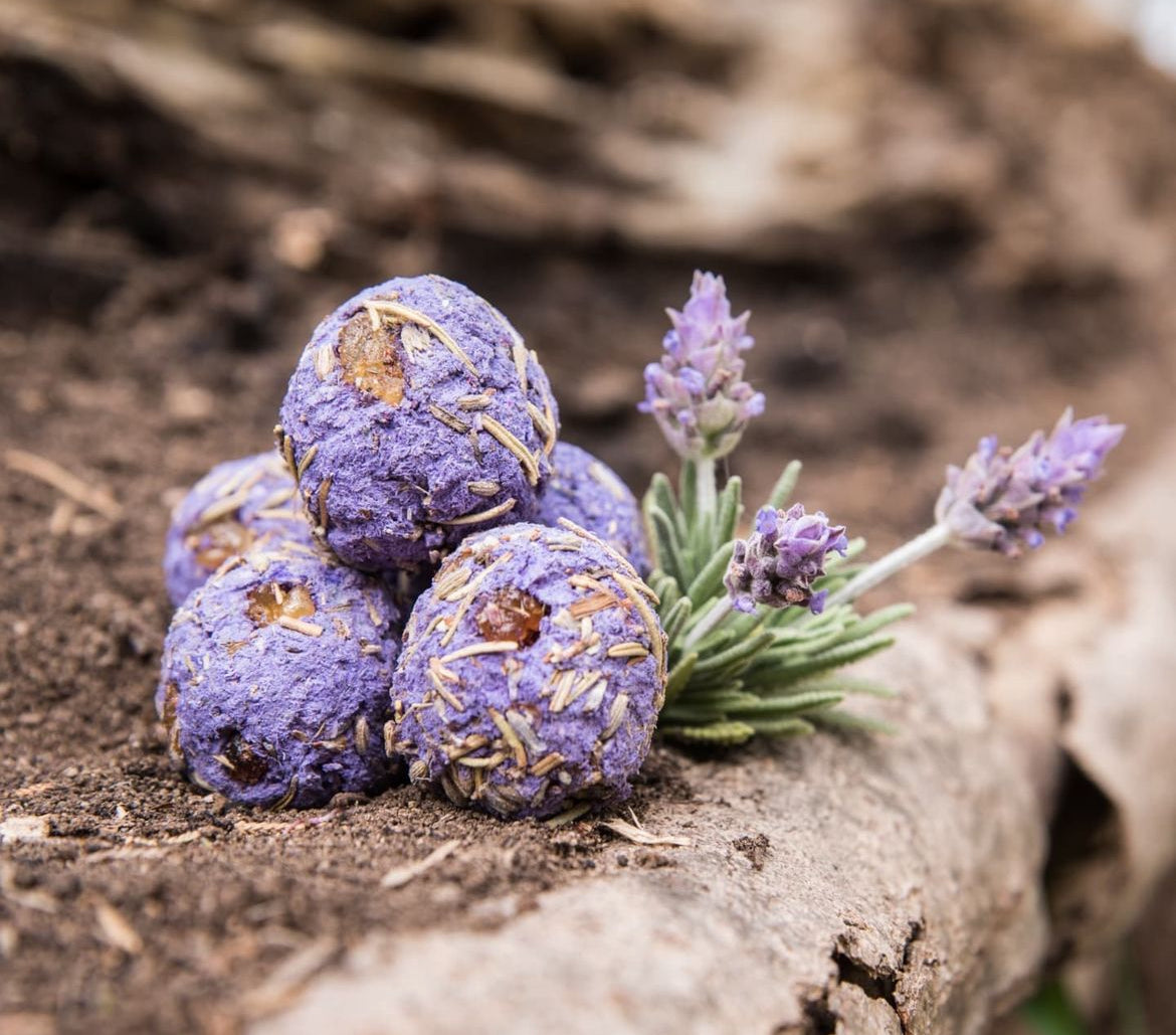 Lavender Herbal Gift Box | Relaxation Sacred Scents Sanctuary