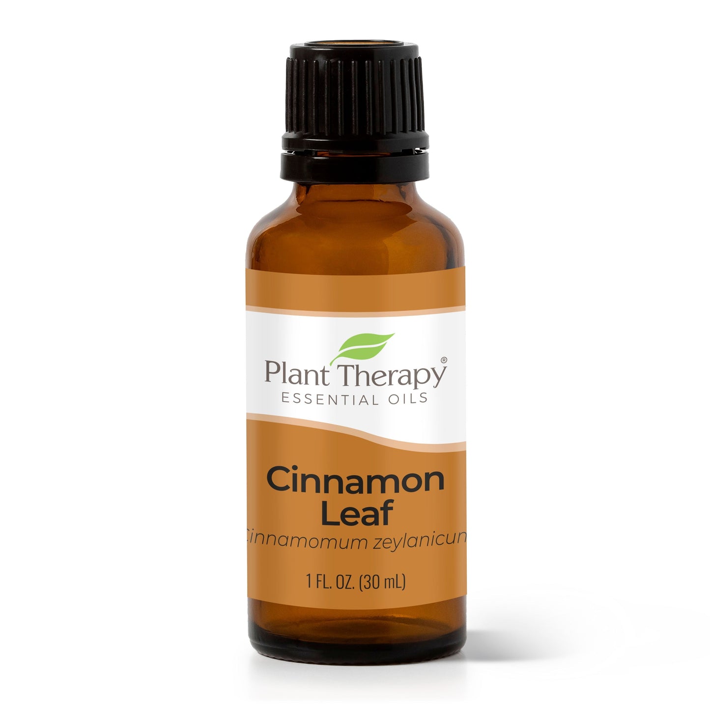 Cinnamon Leaf Essential Oil Plant Therapy