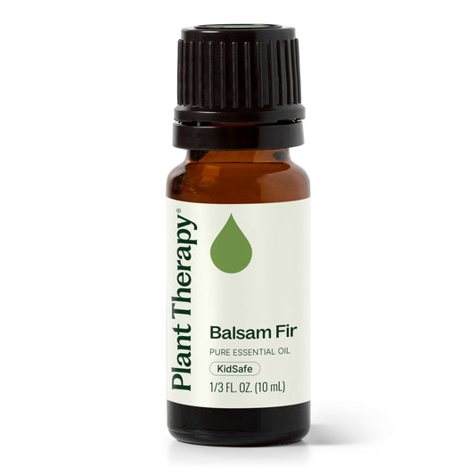 Balsam Fir Essential Oil Plant Therapy