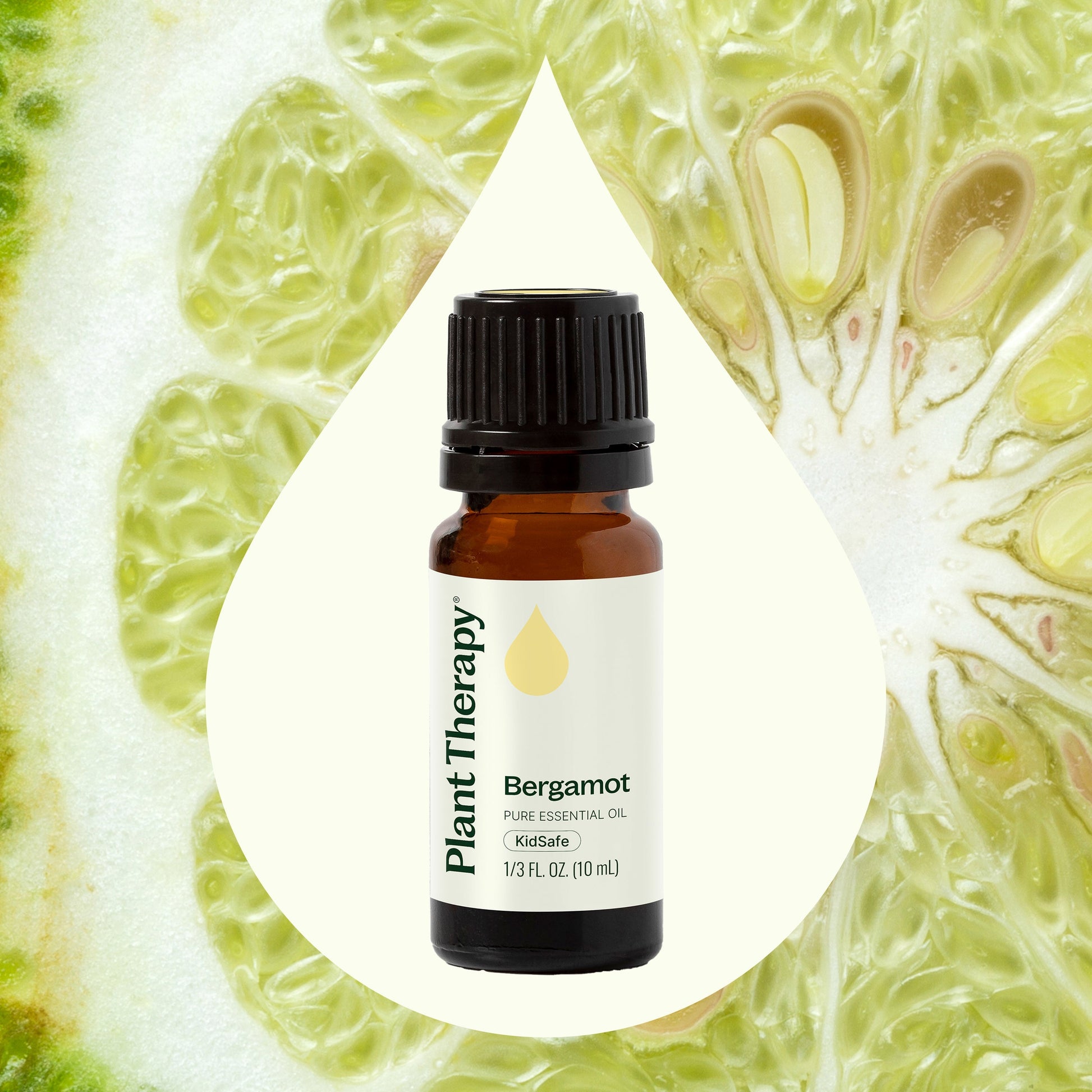 Bergamot Essential Oil Plant Therapy