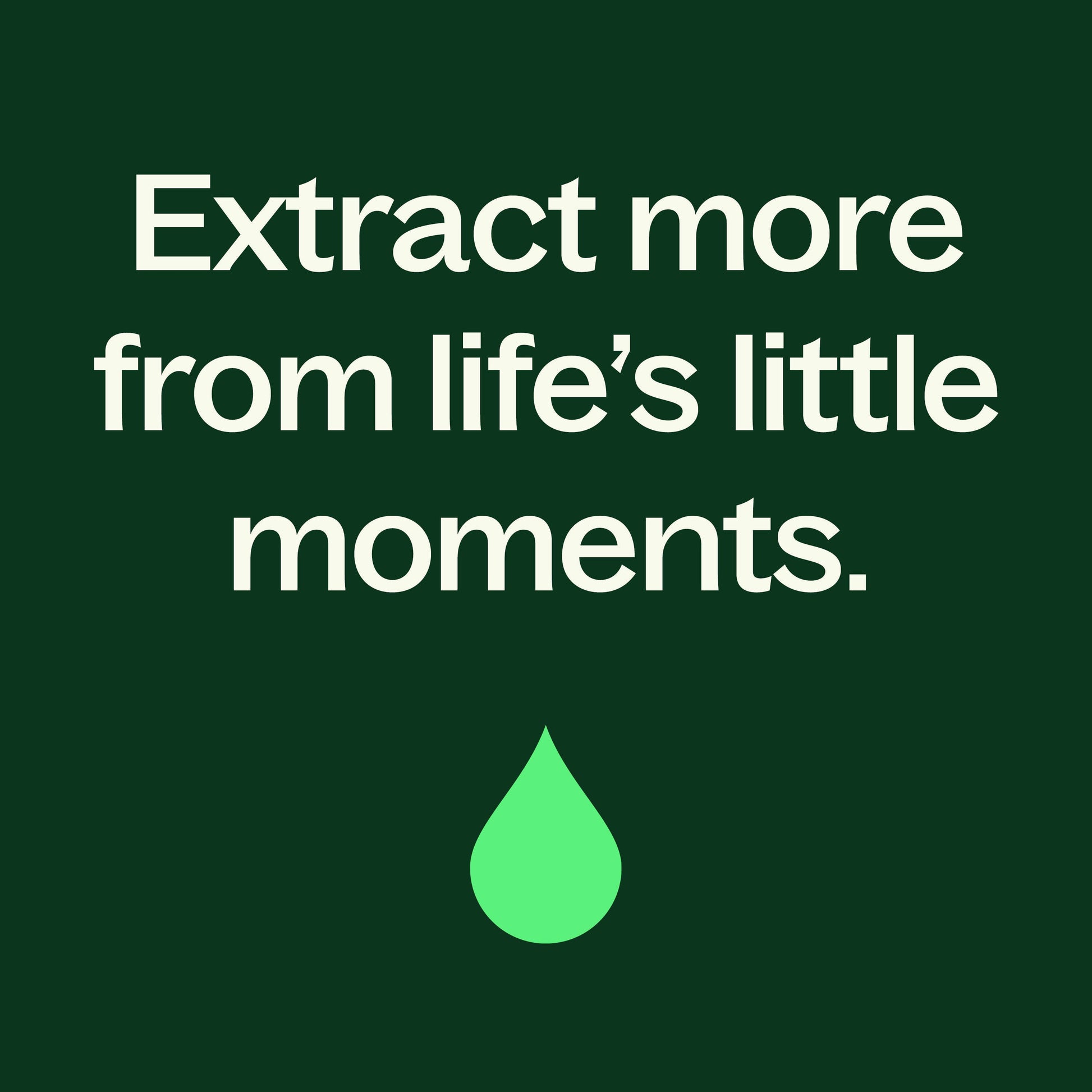 Black Pepper Essential Oil Plant Therapy