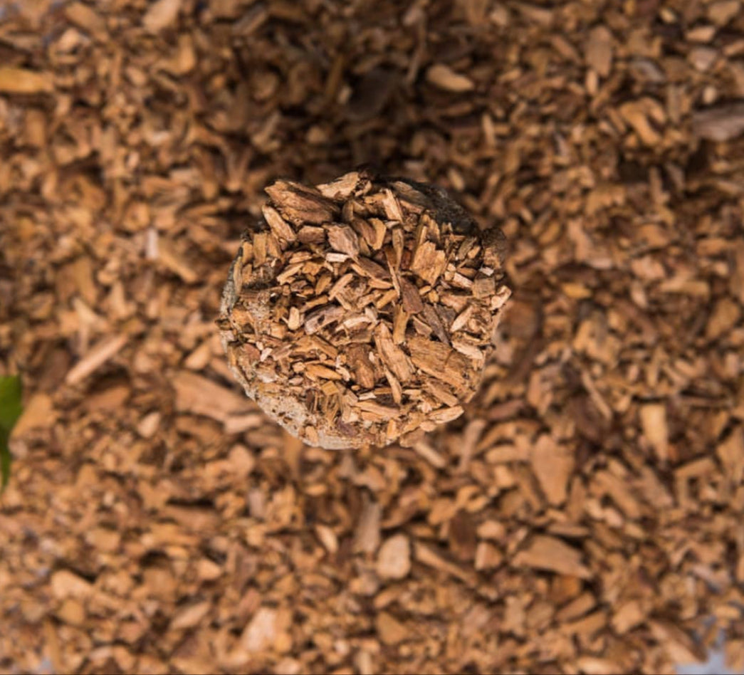 Palo Santo Herbal Gift Box | Purification Sacred Scents Sanctuary