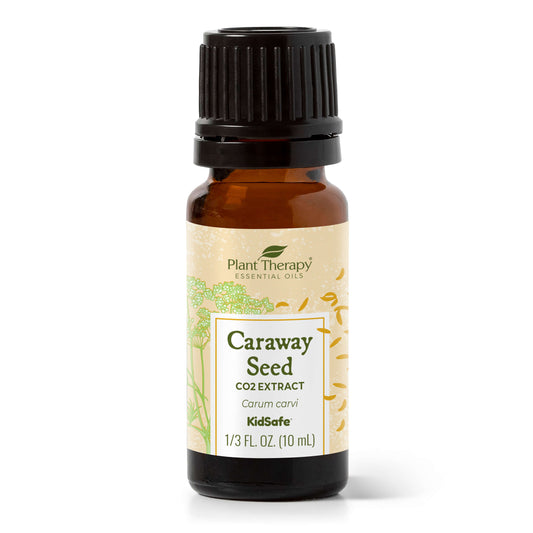 Caraway Seed CO2 Extract Plant Therapy