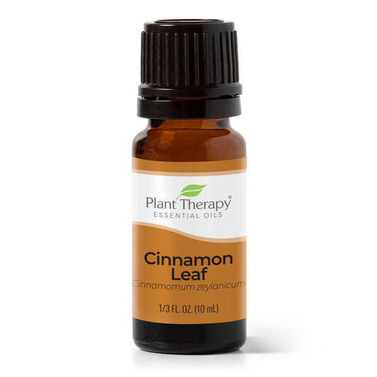 Cinnamon Leaf Essential Oil Plant Therapy
